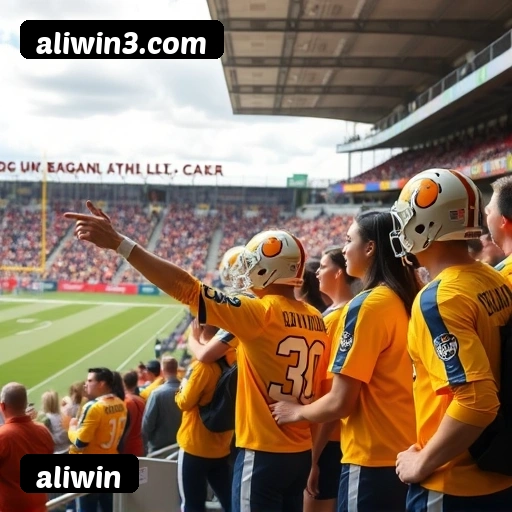 Níveis do programa VIP da aliwin